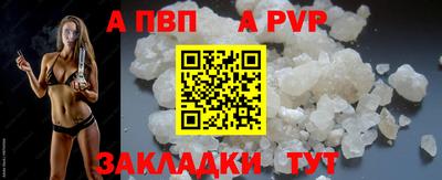 кокс Кингисепп